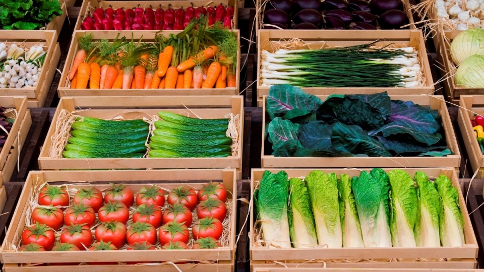 Supermarket satisfaction