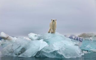 climate change sceptics