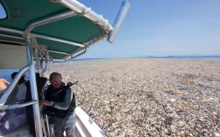 floating dumpsite