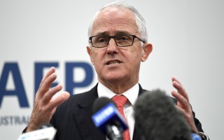 malcolm turnbull