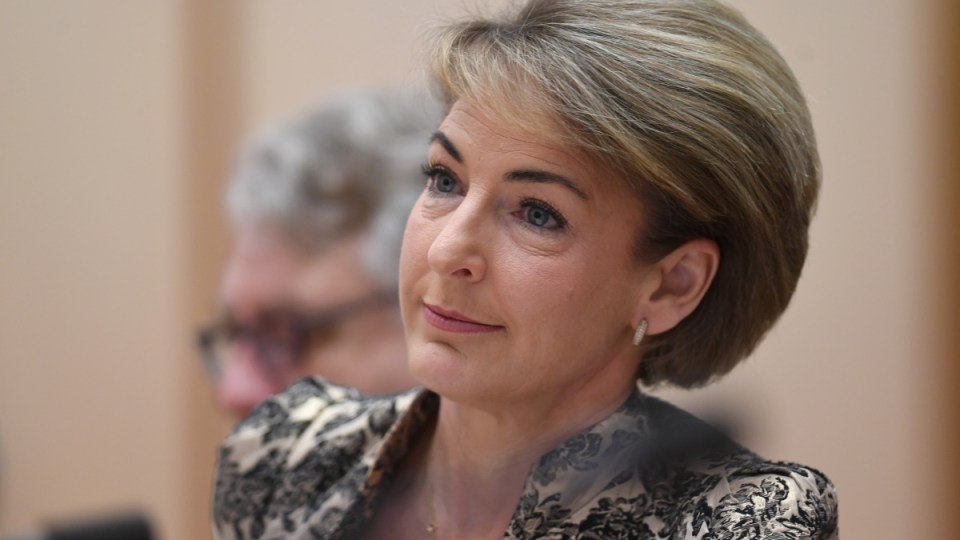 michaelia cash