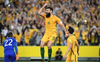 Socceroos Jedinak-honduras-world-cup