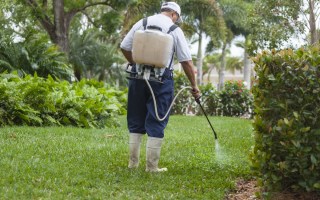 weed sprays affecting antibiotic resistance