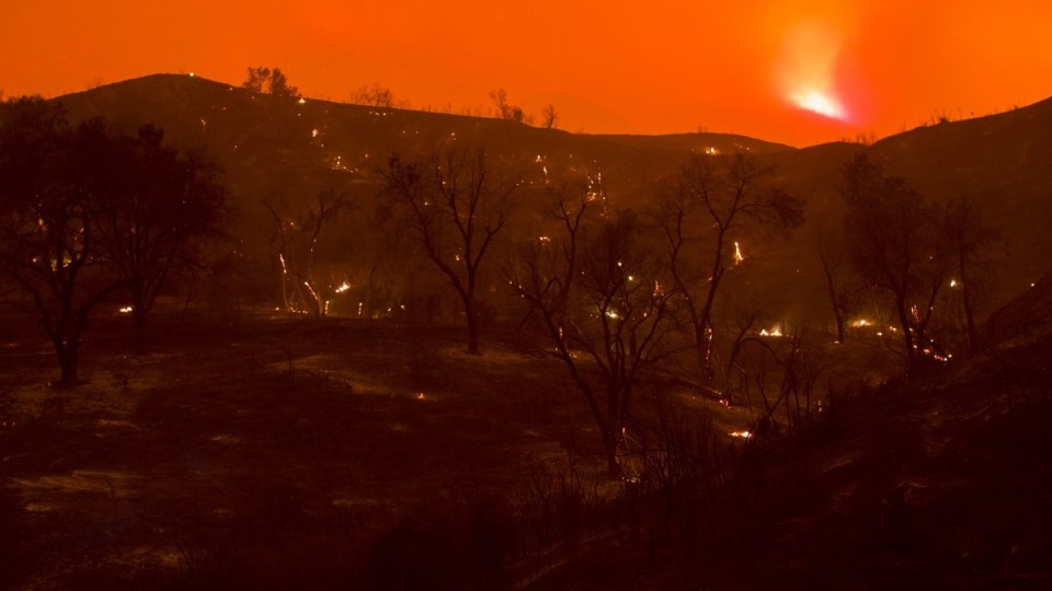 climate change