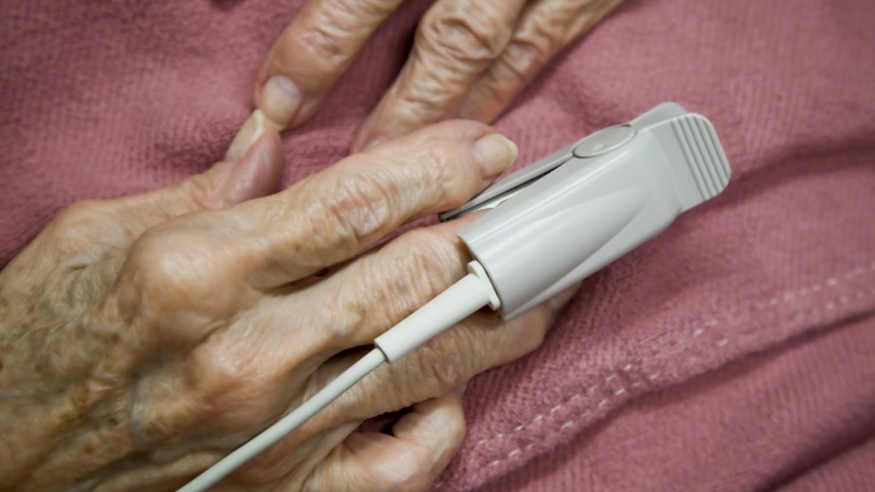 euthanasia