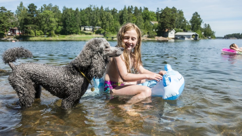 girl with dog
