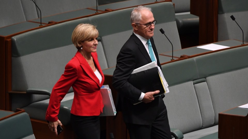 Malcolm Turnbull will release Australia's first foreign policy white paper in 14 years. - Julie Bishop
