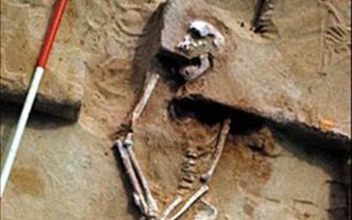 mungo man