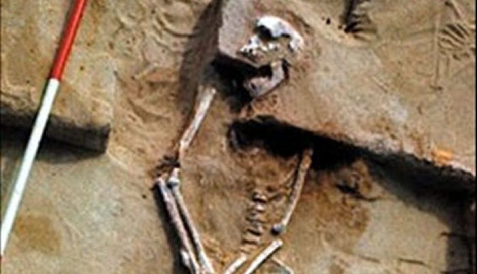 mungo man