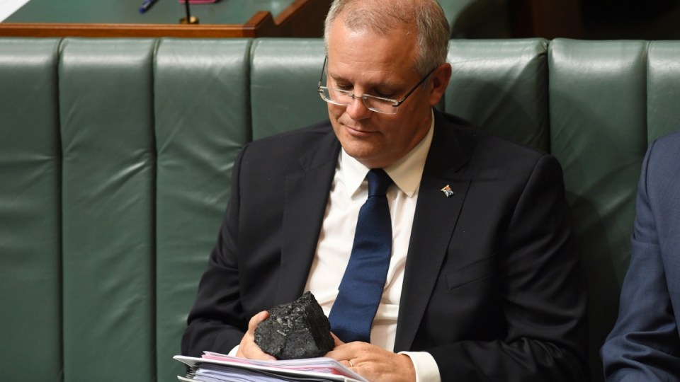scott morrison