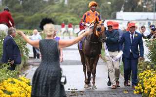 Stakes Day 2017 tips