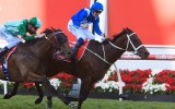Winx Hugh Bowman