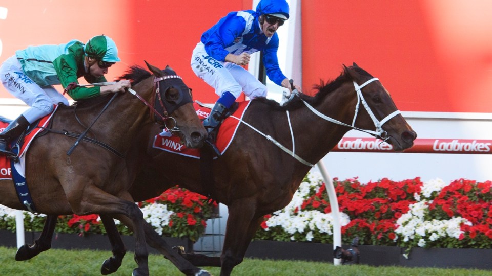 Winx Hugh Bowman