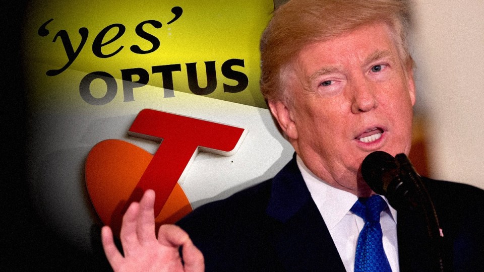 donald-trump-internet