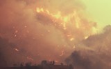 California Fires