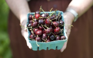 cherries