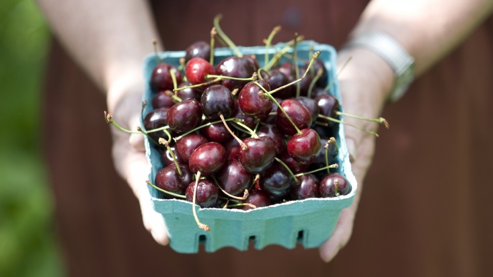 cherries