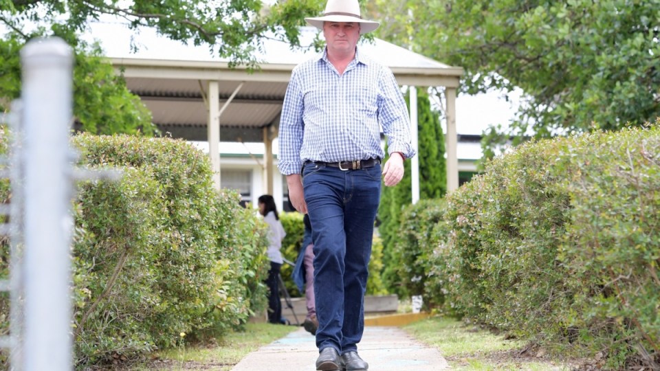 barnaby joyce votes