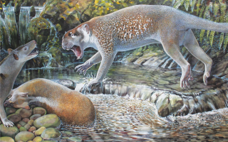marsupial lion
