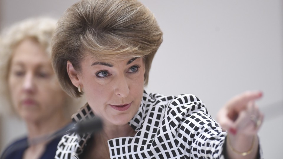 michaelia cash