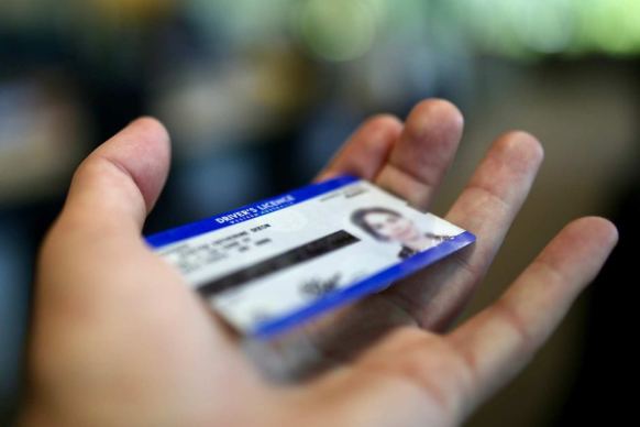 Driver's licence biometric data