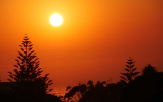 Sydney heatwave