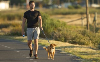 Fitness trends