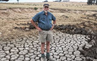 nsw farmers