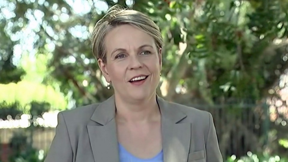 tanya plibersek