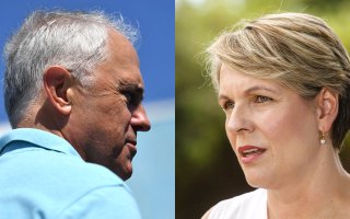 plibersek turnbull
