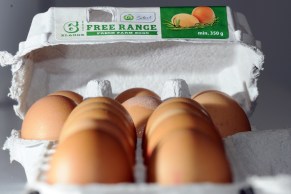 free-range-eggs-Woolworths