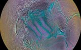 alien life on moon of Saturn