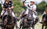 andrew-williams-polo-ponies