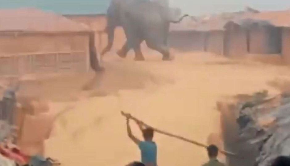 elephant refugee camp