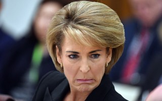 michaelia cash