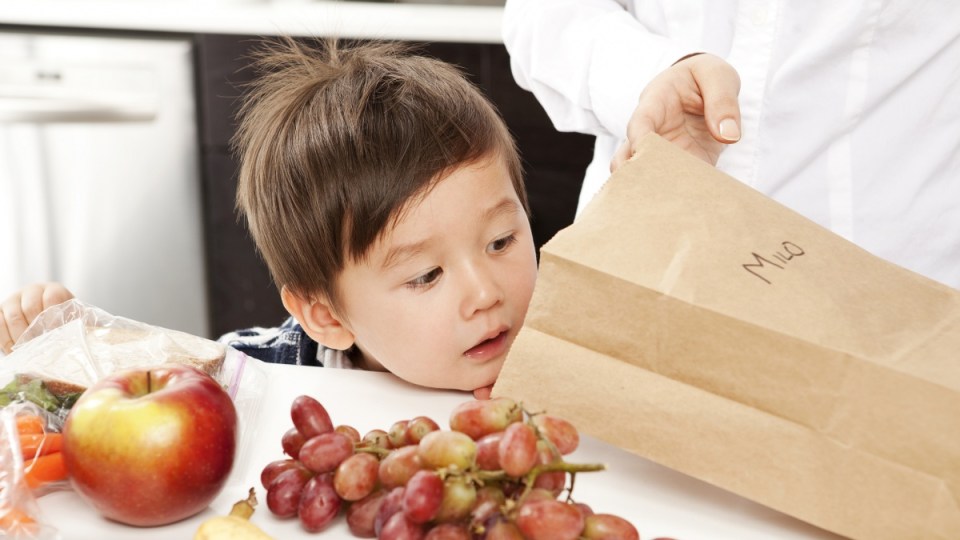 how to make perfect school lunches
