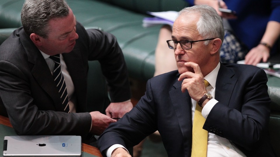 christopher pyne malcolm turnbull leadership