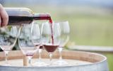 vegan wines