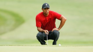 Tiger woods