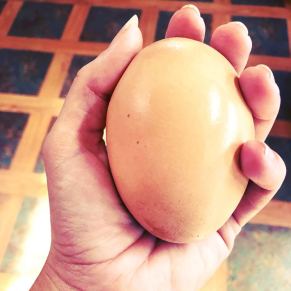 Really big egg