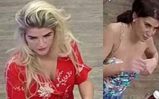 Thieves allegedly target Brisbane and Gold Coast in scams and stealing offences