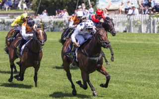 golden slipper 2018