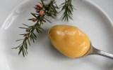 Manuka-honey-science