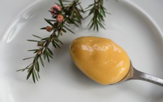 Manuka-honey-science