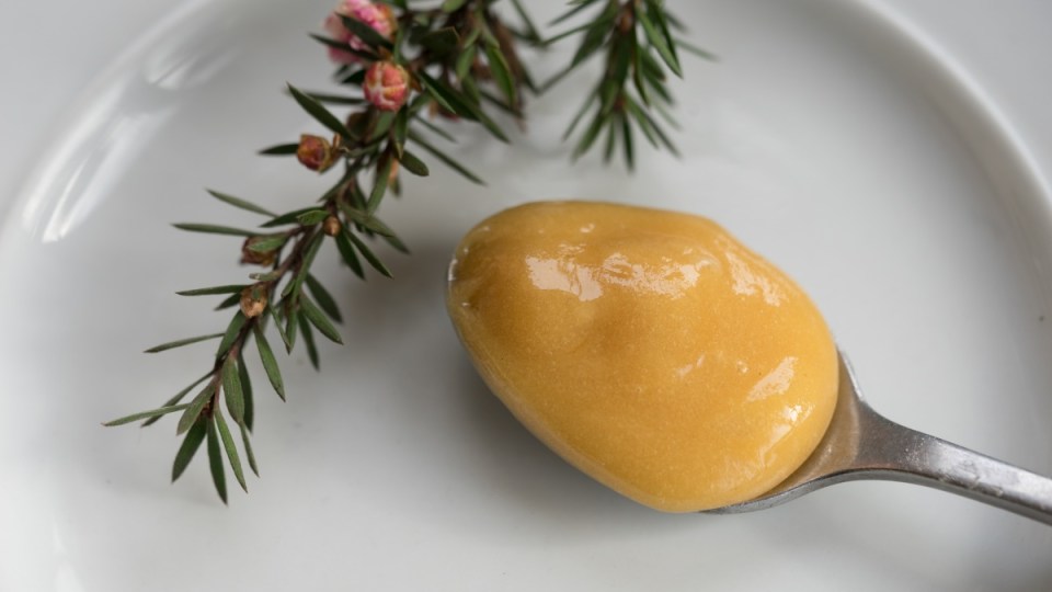 Manuka-honey-science