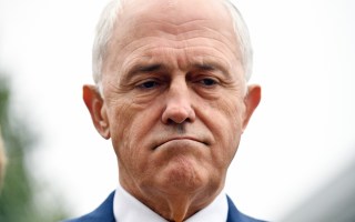 malcolm turnbull