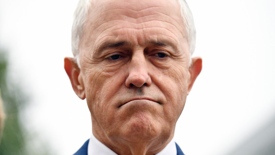 malcolm turnbull