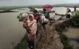 rohingya