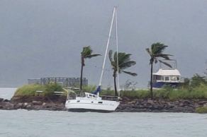 cyclone iris