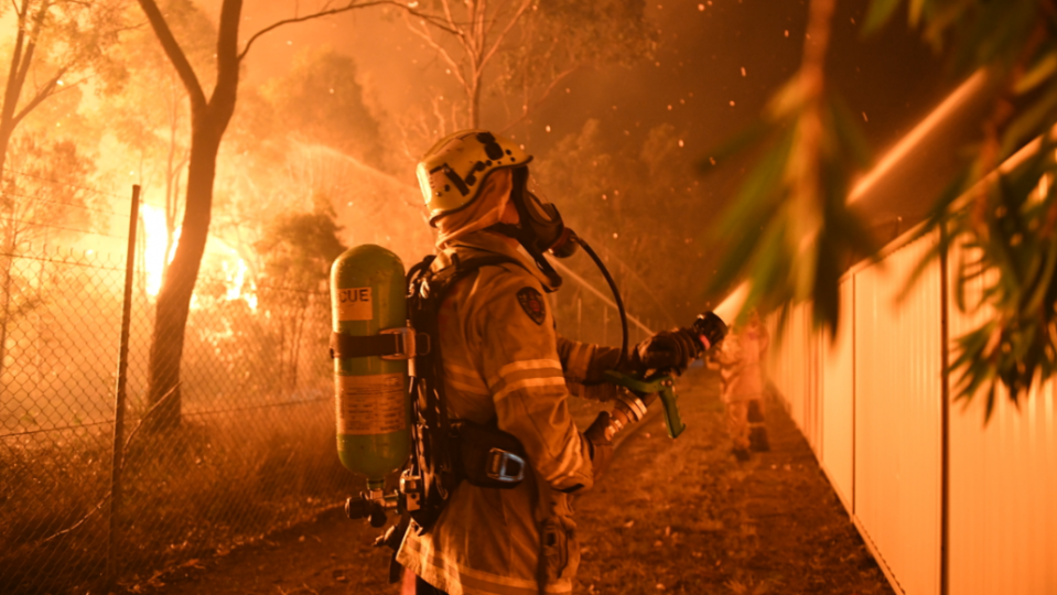 sydney bushfire